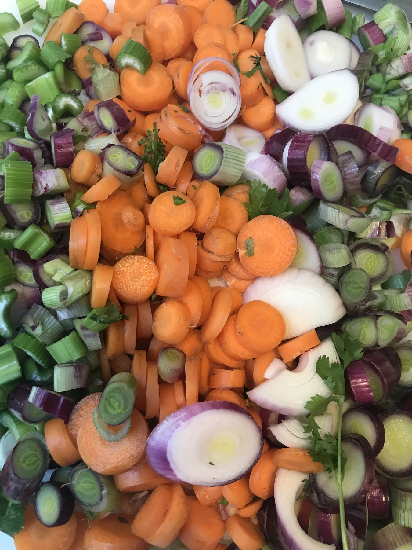 An assortment of colorful chopped vegetables